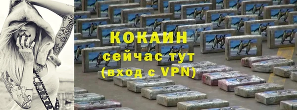 таблы Гусев