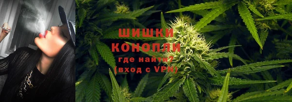mdpv Дмитров