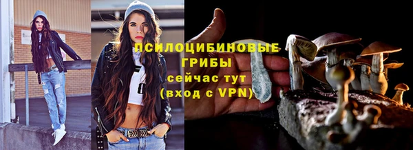 прущая мука Дмитриев
